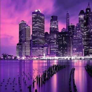 Meet your Posher, Ella